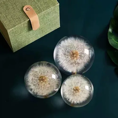 Vista 5 de DESHINTKE Bola de espécimen de diente de león real, pisapapeles, decoración de escritorio (pequeña)