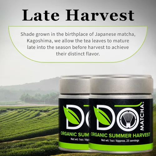 Vista 7 de Domatcha Matcha de cosecha de verano orgánico, 30 GR