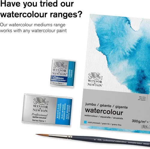 Vista 7 de Winsor & Newton – Lienzo para pintura al aceite agua color medio de buey líquido, 75 ml Aquapasto