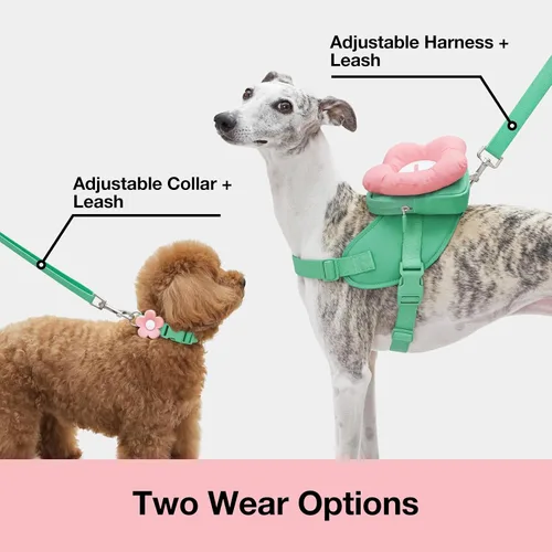 Vista 3 de VETRESKA Flora - Juego de arnés para perro, correa y collar, arnés de chaleco para perro sin tirones para caminar y entrenar, ajustable, fácil