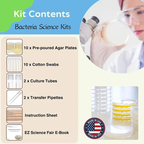 Vista 2 de Kit de ciencia de bacterias: placas de agar LB prevertidas e hisopos de algodón, libro electrónico para el proyecto de la feria de ciencias