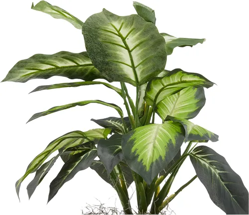 Vista 3 de Nearly Natural Dieffenbachia dorada con jarrón de madera Planta de seda