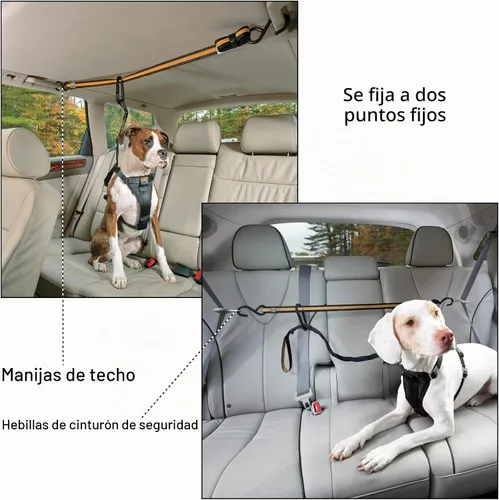 Vista 4 de Kurgo Correa de arnés con cremallera para asiento trasero para viajes
