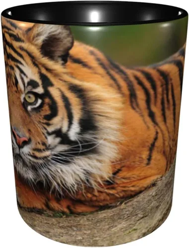 Vista 2 de Taza de café, taza personalizada de tigre, tigre agachado en la roca hermosa foto de la naturaleza, 11 onzas, para bebidas calientes y todos
