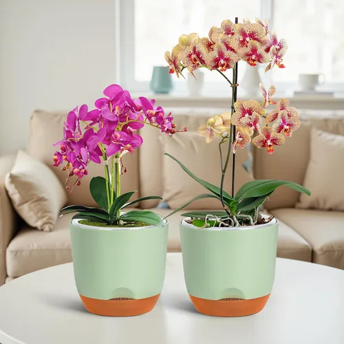 Vista 8 de QCQHDU Macetas de orquídeas de 5.7 pulgadas con agujeros para trasplantar, macetas de plástico de doble capa con riego automático para plantas