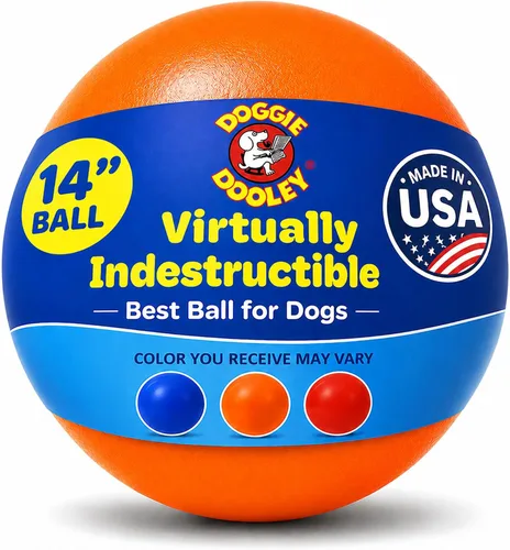 Vista 12 de Prácticamente indestructible (duro), mejores pelota para perros