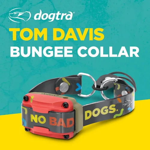 Vista 2 de Dogtra Tom Davis Collar Bungee Cómodo de fácil ajuste Compatible con Tom Davis Edición 280C Collar de entrenamiento para perro E-Collar Receptores