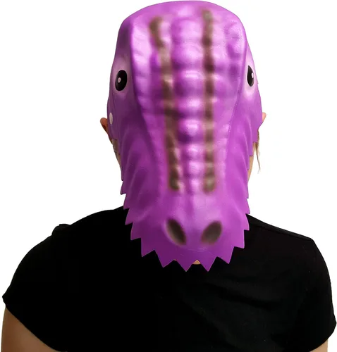 Vista 3 de Sombreros de dinosaurio para niños Enterprises