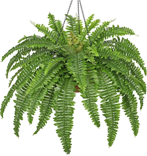 Vista 11 de Plantas colgantes falsas grandes de helecho boston, plantas artificiales para exteriores, helechos falsos realistas con cesta de palmera, plantas