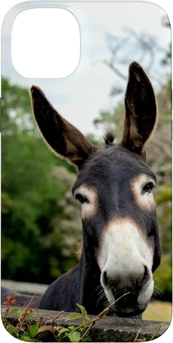 Vista 15 de Funda Donkey para iPhone 17