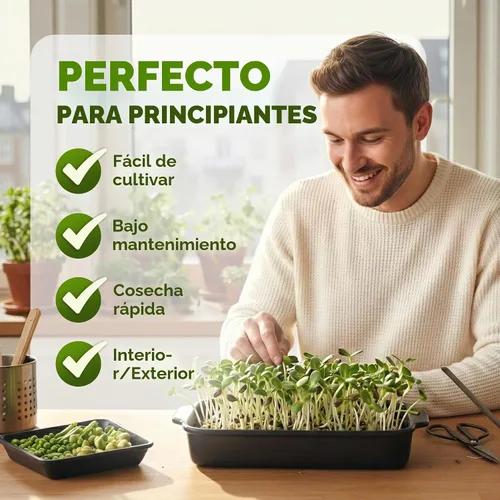 Vista 6 de Nature Jims - Semillas de girasol orgánicas para brotar, sin OMG, semillas microverdes de girasol de primera calidad, brotes nutritivos, de rápido