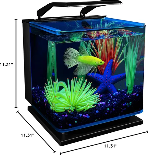 Vista 7 de Kit de acuario GloFish Betta Shadowbox
