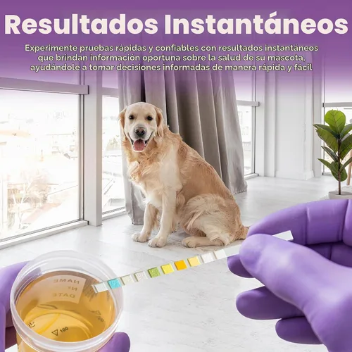 Vista 4 de One Step Tiras de prueba de orina para mascotas, tiras de prueba de análisis de orina de 5 x 10 parámetros, tiras de prueba de pH de orina