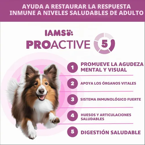 Vista 2 de IAMS Proactive Health Healthy Aging - Alimento seco para perros, pollo, 5 libras