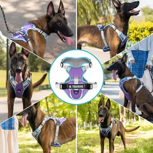 Vista 7 de Arnés para perro sin tirones, arnés reflectante para perro con 2 clips delanteros y traseros, arnés Oxford para mascotas, chaleco acolchado suave