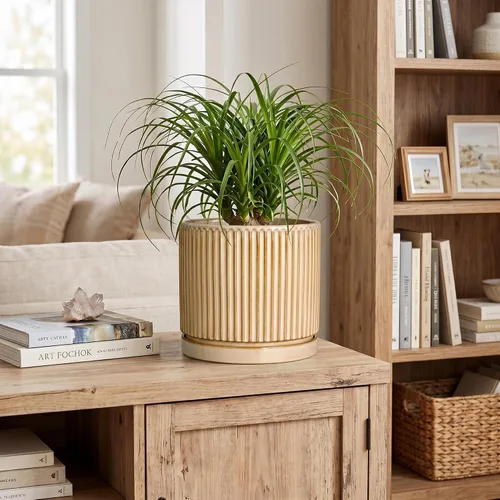Vista 3 de 8 Inch Flower Pot, Ceramic Planters, Round Plant Pot, Beige