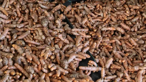 Vista 7 de Cúrcuma y pimienta negra 90 cápsulas vegetarianas - 440mg por cápsula