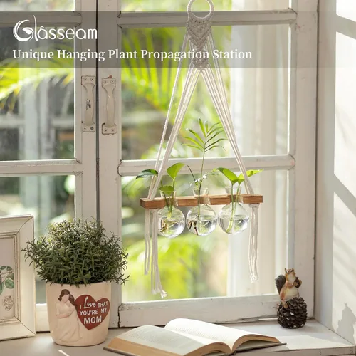 Vista 2 de Glasseam Estaciones de propagación de macramé colgantes: jarrones de propagación de vidrio para ventanas de pared para plantas hidropónicas