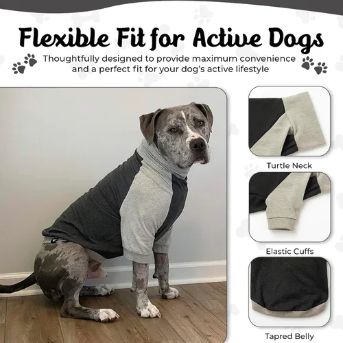 Vista 4 de Tooth & Honey Camisa para perros medianos – Algodón transpirable y elastano sin botones con cobertura completa debajo del vientre – Gris