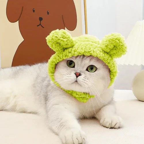 Vista 7 de JOICEE - Lindo disfraz de gato - Cálido sombrero de oso para mascotas pequeñas (color aguacate)