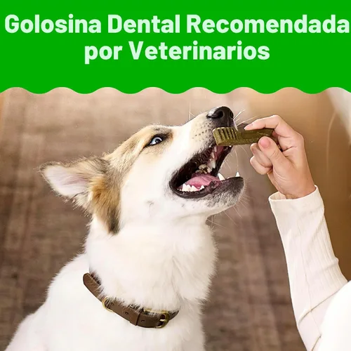 Vista 3 de Greenies Golosinas dentales naturales para perros adultos recomendadas por veterinarios, tamaño Teenie, sabor a arándano azul, paquete de 12 oz., 43