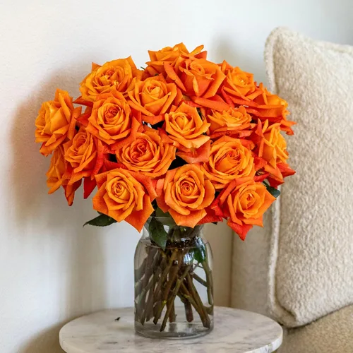 Vista 8 de BloomsyBox - Rosas Bicolor - 24 tallos largos, de larga duración, atadas a mano en envases ecológicos, jarrón no incluido, flores frescas
