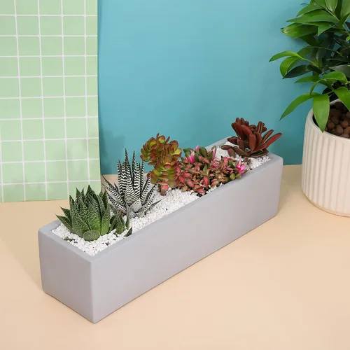 Vista 2 de Maceta rectangular de cemento gris de 15 pulgadas para suculentas, caja de alféizar de ventana