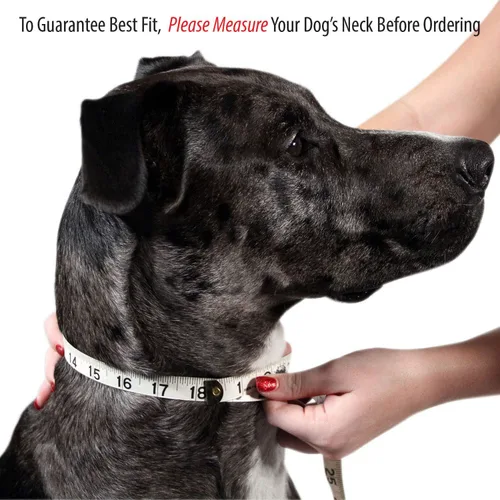 Vista 2 de Collares acolchados de piel de lujo para gatos cachorros pequeños y medianos perros negros