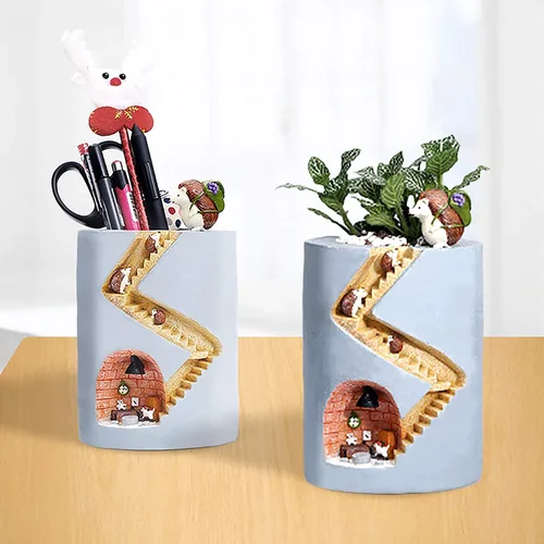 Vista 3 de Segreto Plantas creativas de erizo, macetas de cepillo para plantas suculentas, maceta decorada, escritorio, jardín, sala de estar, 2 piezas