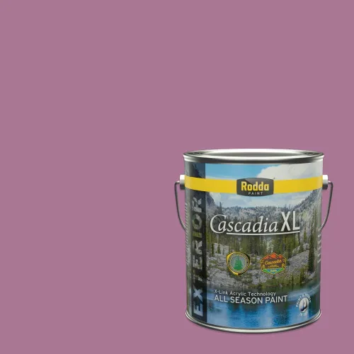 Vista 82 de Rodda Paint CASCADIA XL - Pintura e imprimación satinada para exteriores en uno, cuarto de galón, blanco abstracto