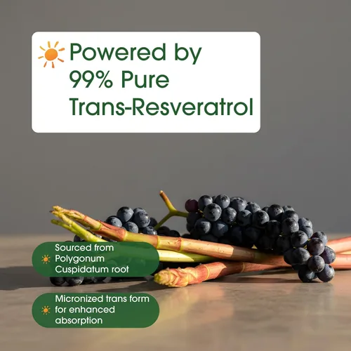 Vista 6 de NatureBell Resveratrol - 180 cápsulas vegetarianas - 1,000 mg de extracto de Polygonum Cuspidatum - Apoyo antioxidante - Corazón, cerebro