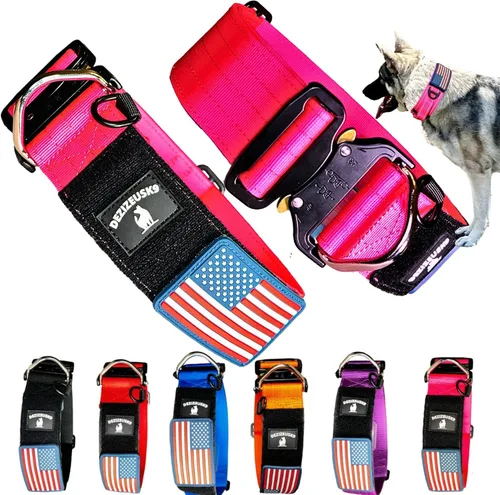 Vista 10 de Collar táctico para perros de 2 pulgadas de ancho con hebilla de metal de NEGRO-COBD2