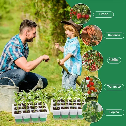 Vista 7 de Bandeja de inicio de semillas reutilizable, paquete de 4 unidades de silicona para iniciar semillas de plantas con cúpula y tapa ajustables