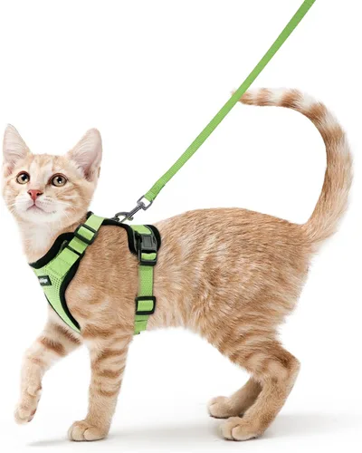 Vista 29 de rabbitgoo Cat Harness and Leash Set, Escape Proof Vest, XXS, Berry Pounce Soft Breathable Mesh, No-choke Adjustable Fit, Snap Buckles, Sturdy