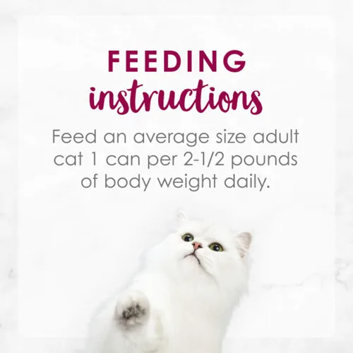 Vista 8 de Purina Fancy Feast - Alimento húmedo para gatos con alto contenido de proteínas, receta Medleys de salmón salvaje de Alaska con verduras