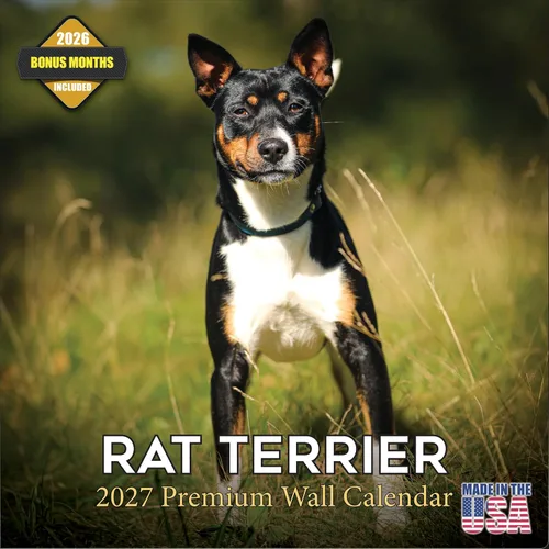 Vista 185 de Calendario de Lebrel Afgano 2025 2026, calendario mensual de pared de raza canina, 12" x 18" abierto, papel grueso sin traspaso, ideal para regalo