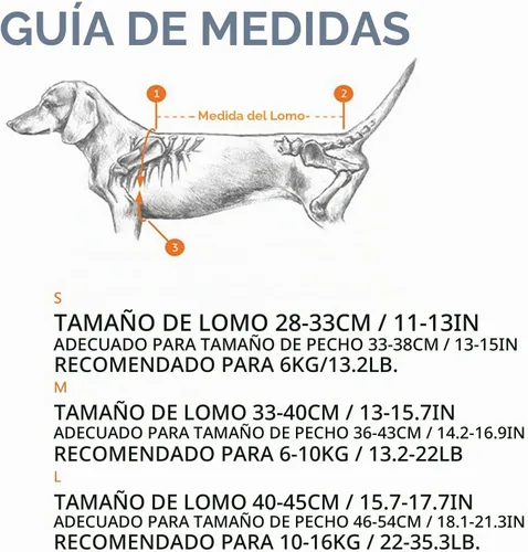 Vista 7 de Soporte de espalda para perro, chaleco de apoyo para la espalda de mascotas para perros salchicha, corgis y otros perros, artritis IVDD, hernia