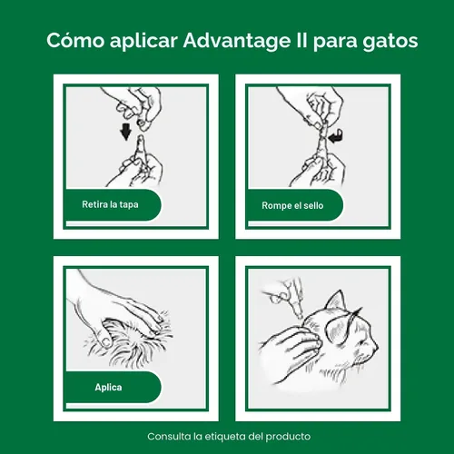 Vista 9 de Advantage II Tratamiento y prevención de pulgas recomendado por veterinarios para gatos grandes Gatos de más de 9 libras Suministro de 1 mes