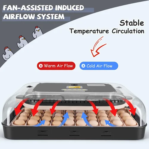 Vista 4 de Sailnovo 70 incubadoras de huevos, humidificación automática y control
