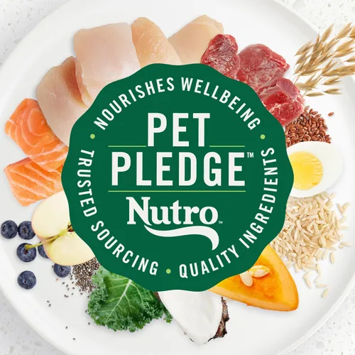 Vista 13 de Nutro Ultra High Protein - Alimento seco para perros mayores, pollo, cordero y salmón, 13 libras