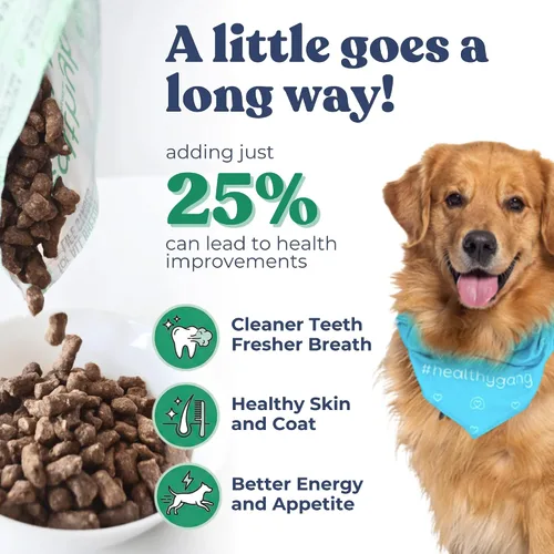 Vista 6 de healthybud Alimento crudo para perros, mordeduras de carne liofilizadas, alimento para cachorros sin granos, grado humano, alto contenido