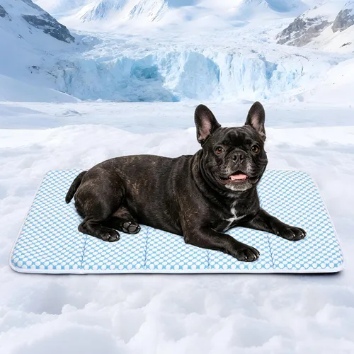 Vista 46 de Tapete refrescante para perros pequeños, almohadilla ortopédica de espuma viscoelástica de 24 x 18 pulgadas para verano, QMAX>0.5, almohadilla