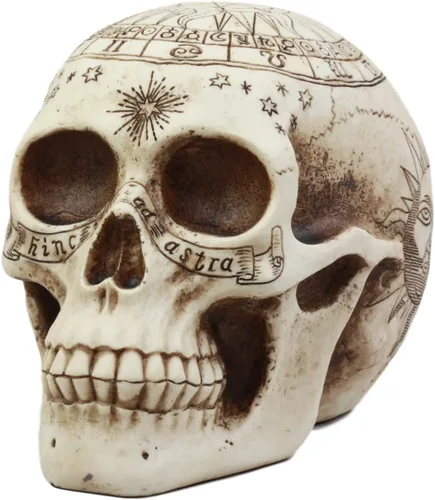 Vista 8 de Ebros Gift Astrología solar Estatua del cráneo celestial, profecía antigua, cartografía, mapa de reliquia, cráneo, figura decorativa, osario, Crema