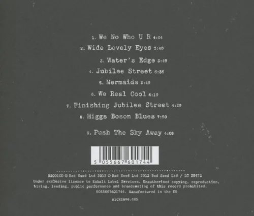 Vista 2 de Push the Sky Away