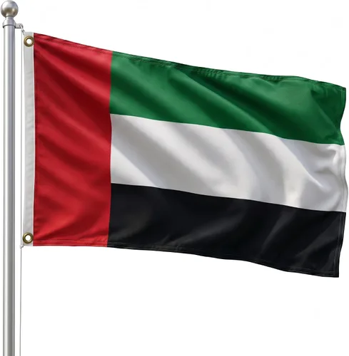 Vista 130 de DMSE - Bandera nacional beninesa beninesa de la República de África Occidental, 2 x 3 pies, 100 % poliéster, 100 % poliéster, resistente a los rayos