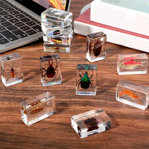Vista 5 de 30 piezas de insectos en resina colección de insectos, pisapapeles, insectos reales en resina, varios especímenes de insectos preservados