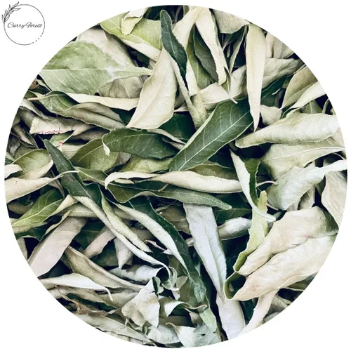Vista 10 de CurryForest Hojas de curry secas de primera calidad, 100% naturales, sin pesticidas, cultivadas en Estados Unidos, secado al aire, 0.35-0.53 oz