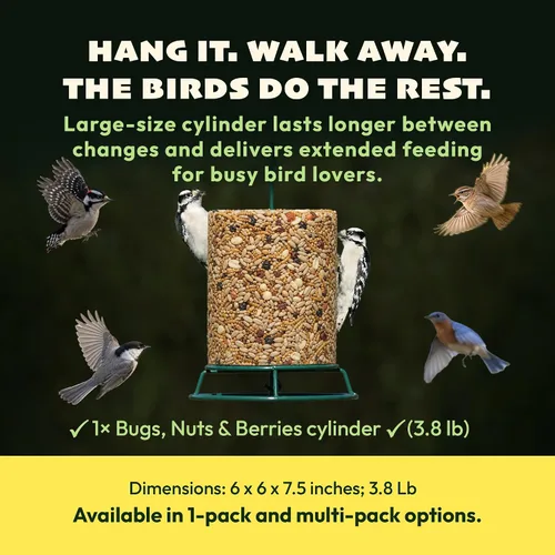Vista 6 de JCs Wildlife Bugs Nuts and Berries - Cilindro grande de semillas de aves con agujero, cero relleno para comederos exteriores, llaves de pájaros