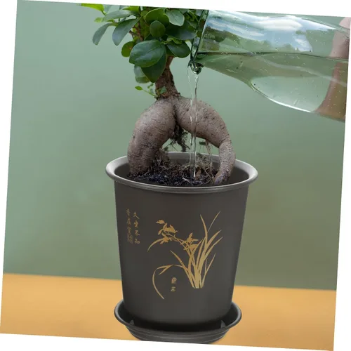 Vista 6 de 3sets Orchid Flower Pots Tray Deep Breathable for Indoor Plants for Home Decor and Gardening