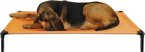 Vista 10 de Starmark Dog Zone Cama Mediana Sunset Gold